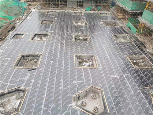 武昌知名自粘卷材 品質(zhì)卓越，售后無憂，武漢長盛鑫防水工程專業(yè)供應(yīng)